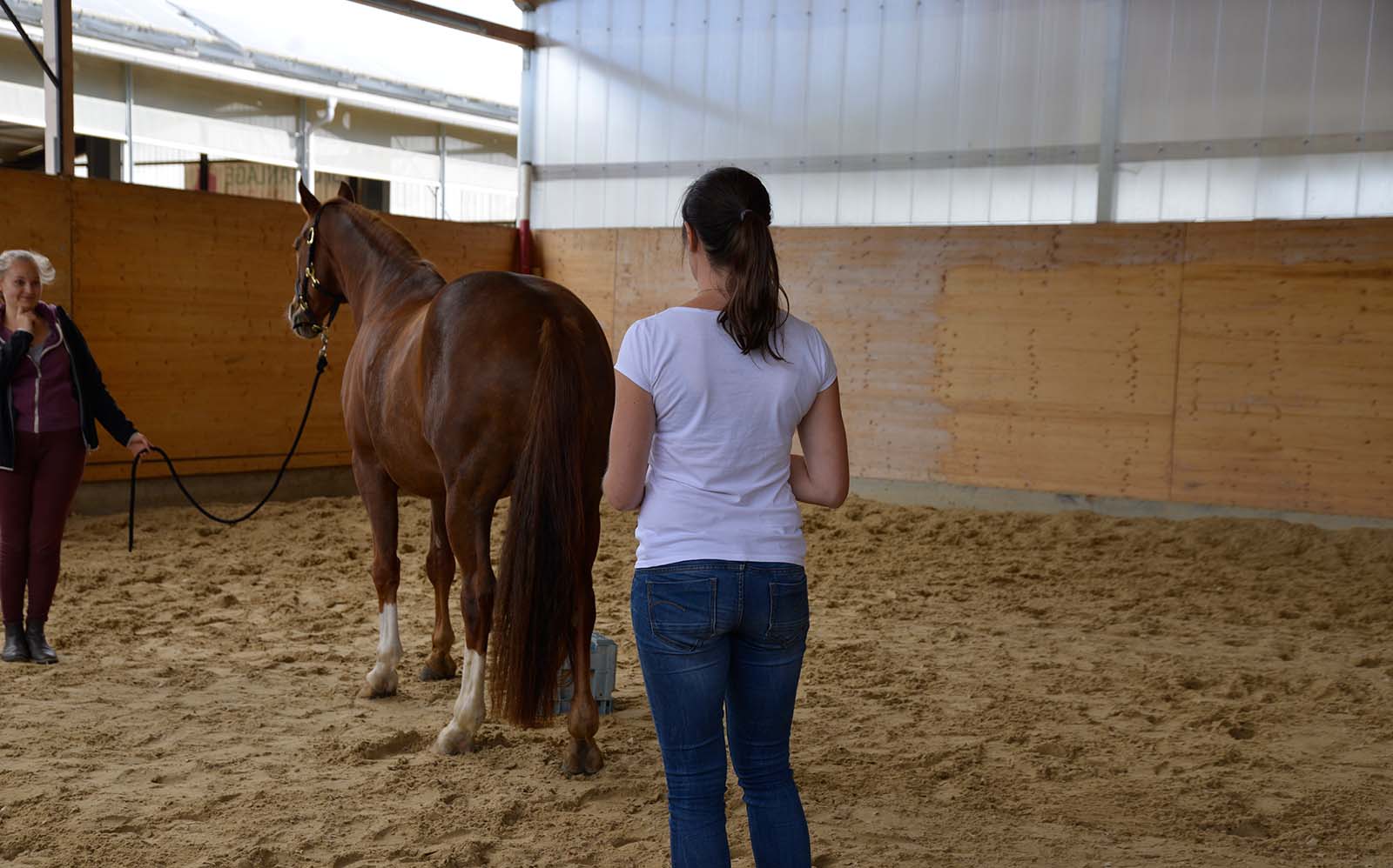 Ganganalyse am Pferd, Osteopathin und Assistenz